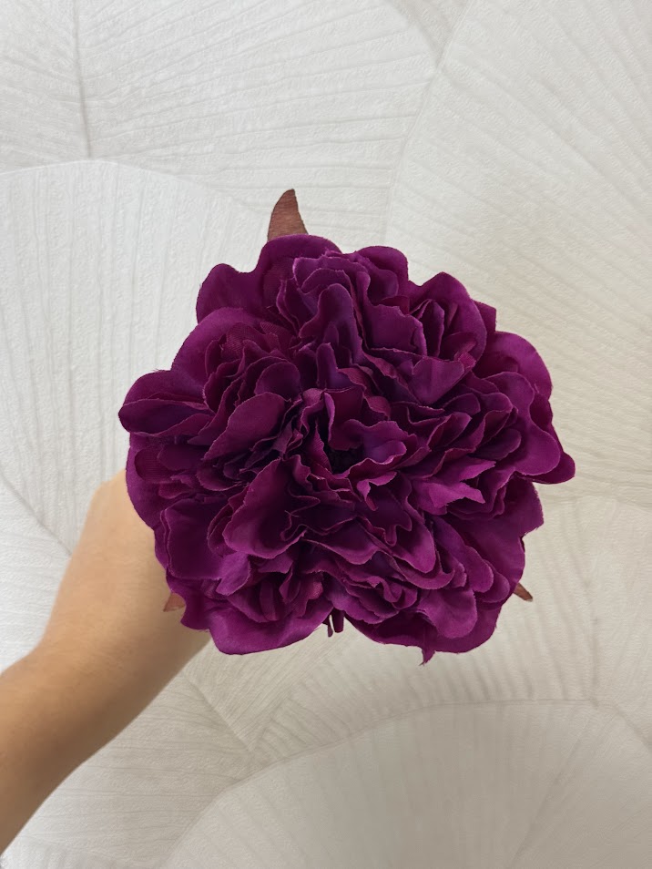 Peonia mediana (mas colores)