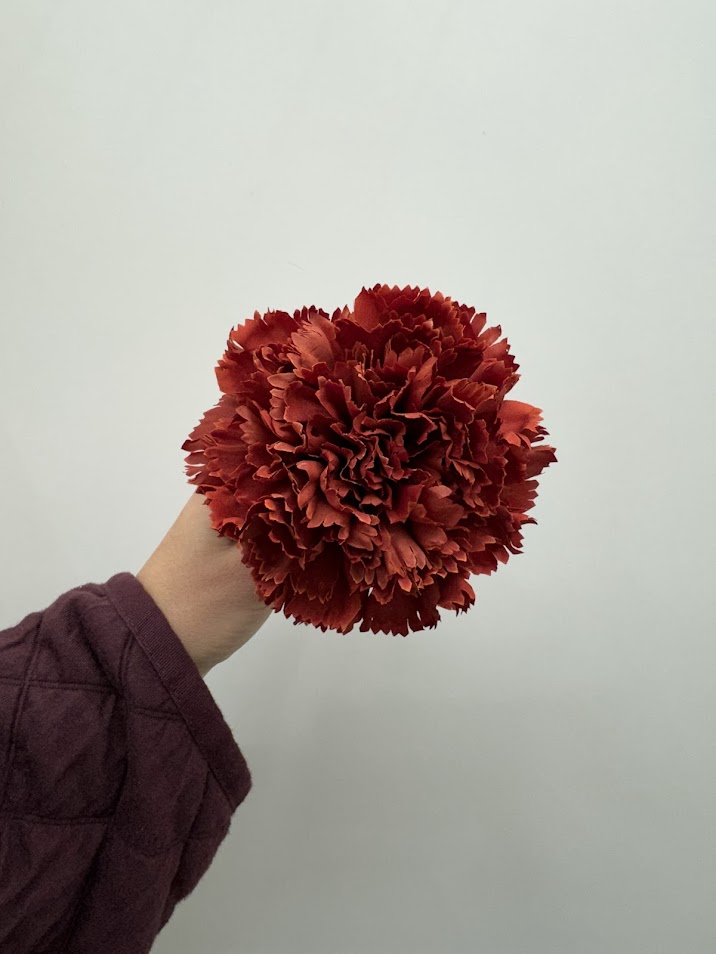 Claveles (más colores) - Imagen 3