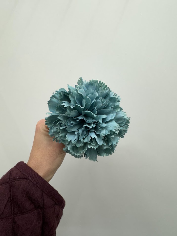 Claveles (más colores) - Imagen 4