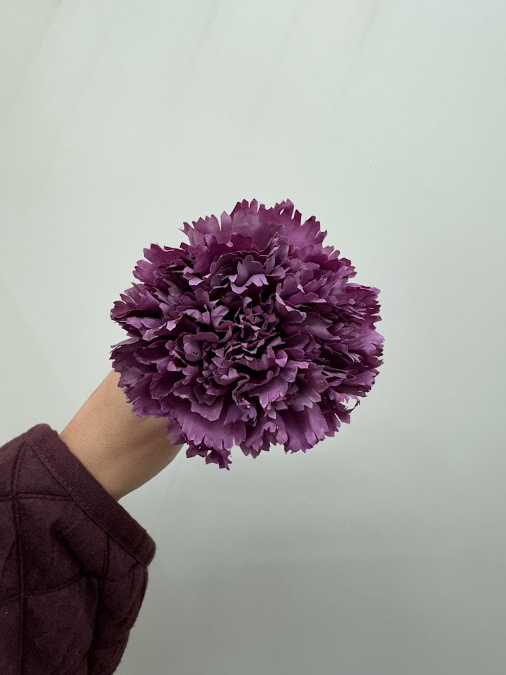 Claveles (más colores) - Imagen 6