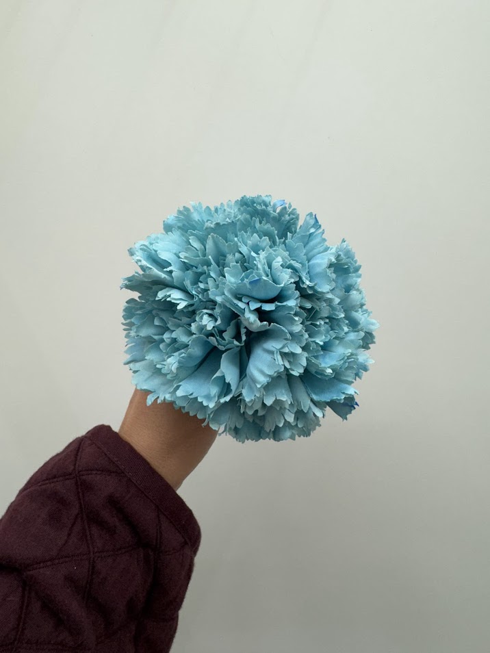 Claveles (más colores) - Imagen 7