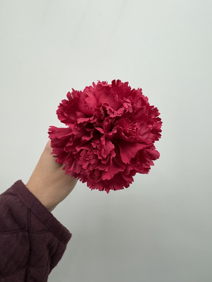 Claveles (más colores) - Imagen 9