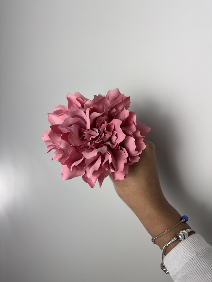 Dalias (más colores) - Imagen 4