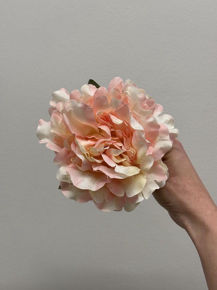 Peonías pequeñas (más colores) - Imagen 11