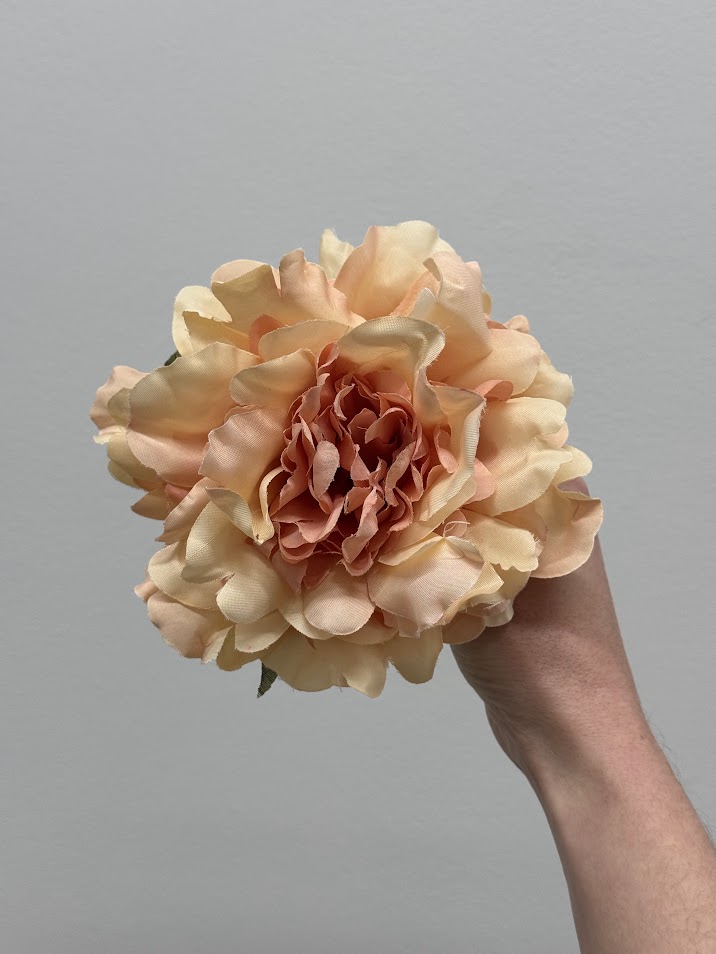 Peonías pequeñas (más colores) - Imagen 12