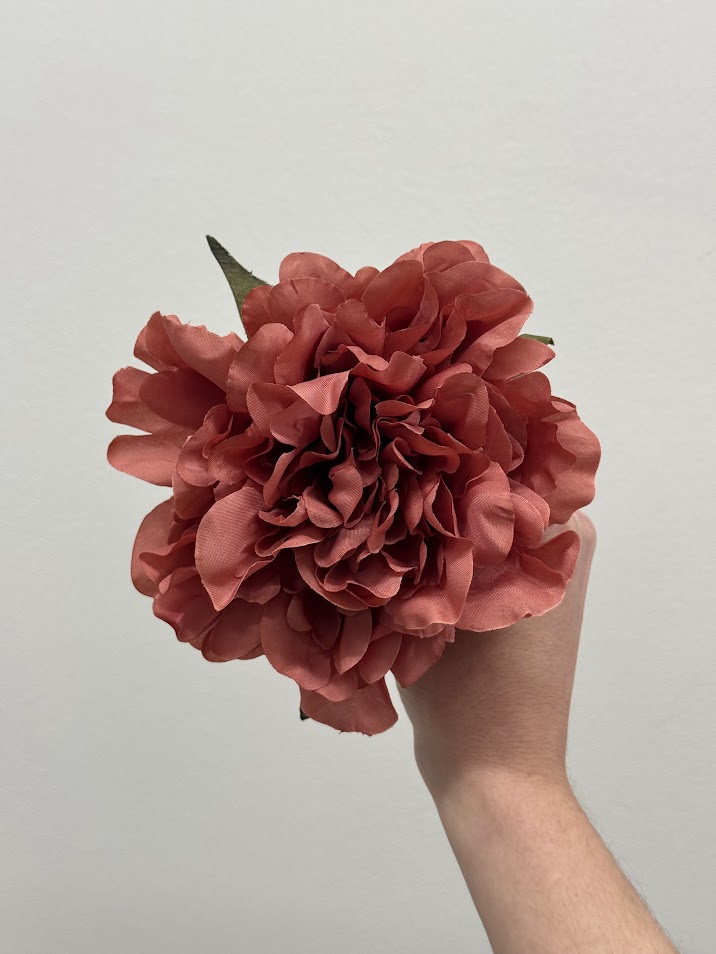 Peonías pequeñas (más colores) - Imagen 13