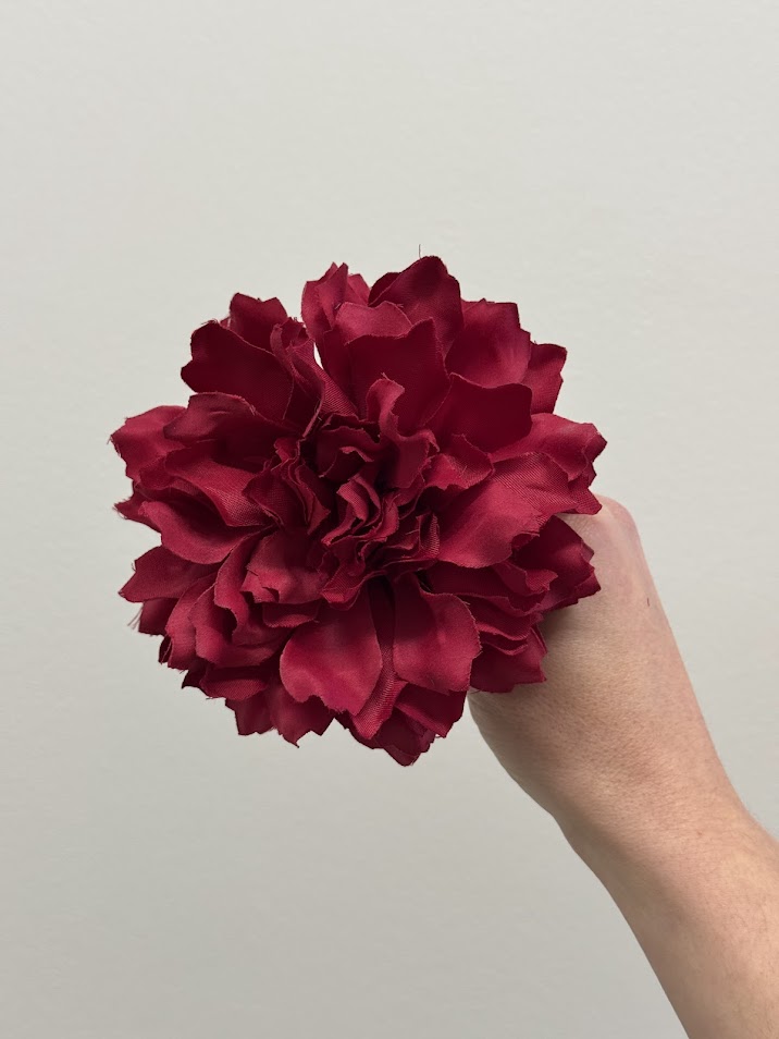 Dalias (más colores) - Imagen 8