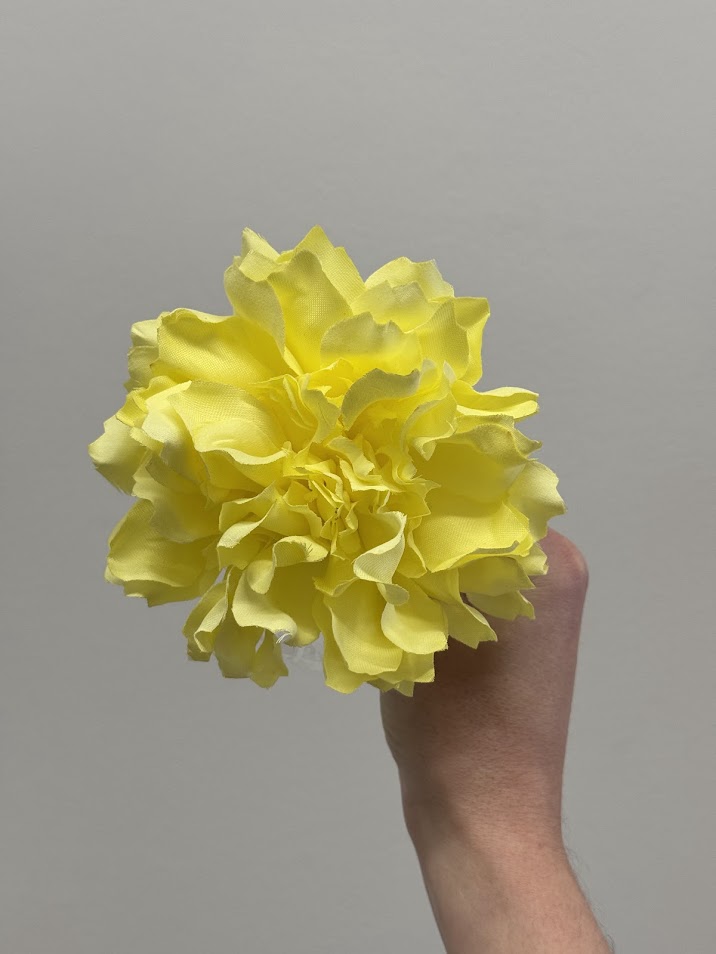 Dalias (más colores) - Imagen 7